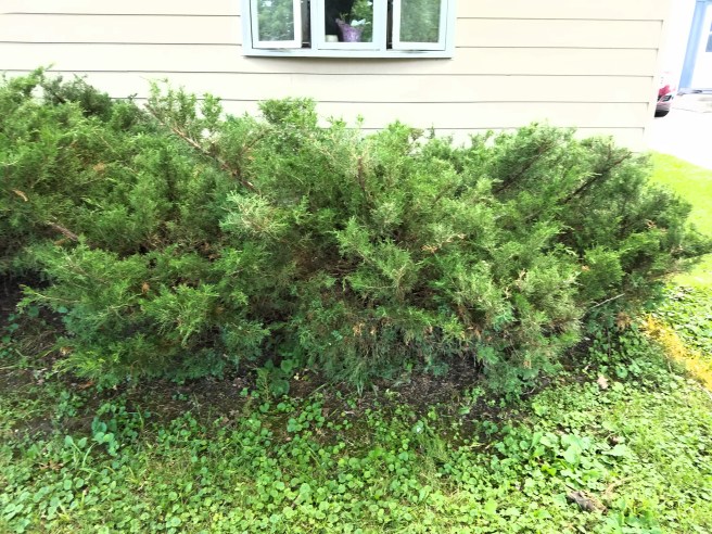 20160708_190707 [196067]