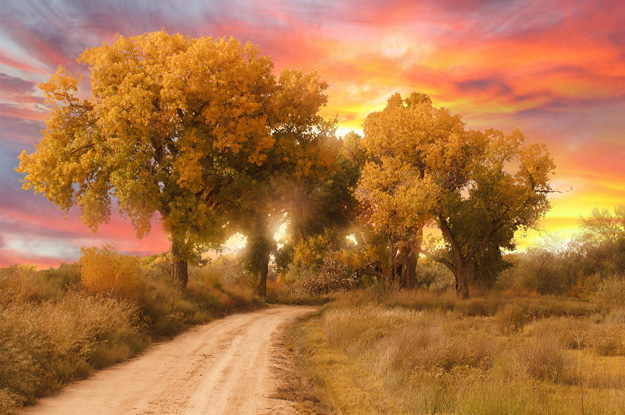 LifePurpose-01 [168840]